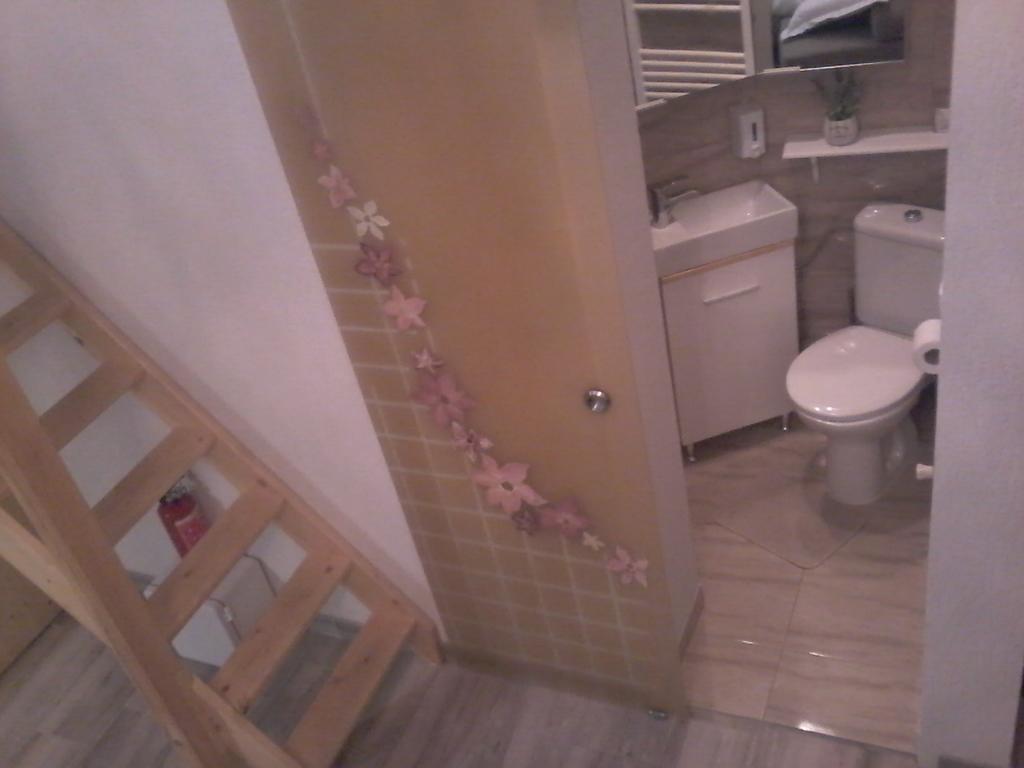 ブラショフDuplex Alexanderアパートメント エクステリア 写真